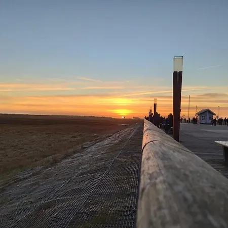 Apartamento Semi-detached House In St Peter-ording Sankt Peter-Ording