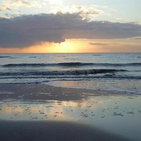 Apartamento Semi-detached House In St Peter-ording Sankt Peter-Ording